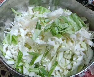 Sliced Cabbage